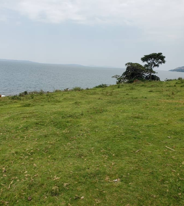 WhatsApp Image 2022-07-15 at 8.52.42 PM.jpeg